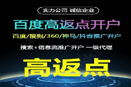 百度竞价广告的投放策略与成功案例分析